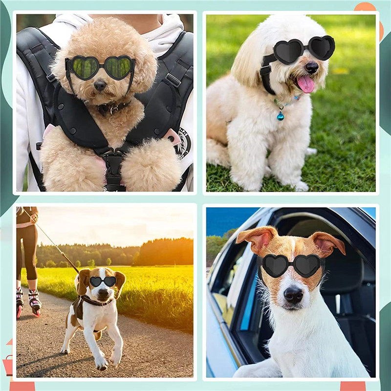1 PC Heart-shaped Small Dog Su - Sunglass Retainer Cord recension och pris